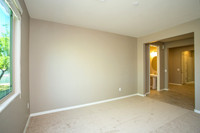 Den/Bedroom