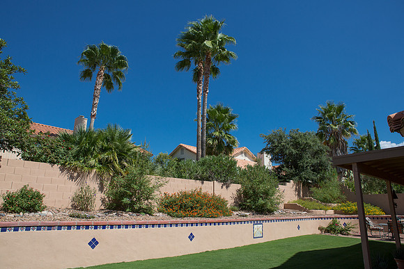 Tucson Photography by KC Creative Design photo 8