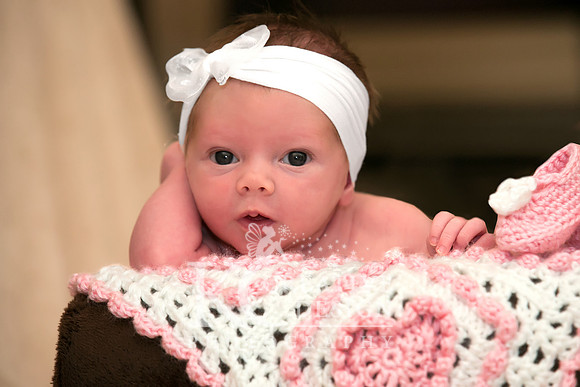 Tucson Newborn Photography by KC Creative Design