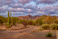 3240 E Vía Celeste Tucson, AZ 85718