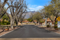 3156 N Willow Creek Dr Tucson, AZ 85712