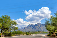 9035 N Mexican Sage Pl, Tucson, AZ 85742