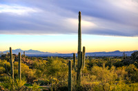 Twilight Photo