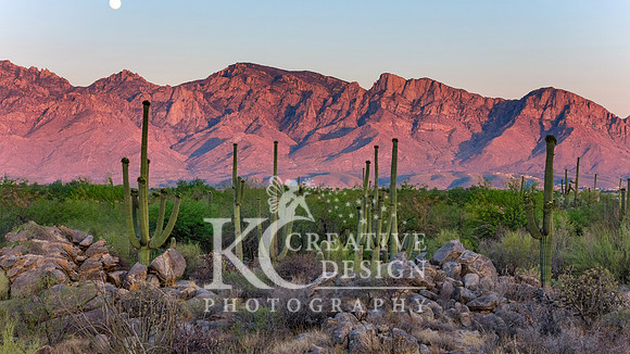 Stone Canyon in Oro Valley