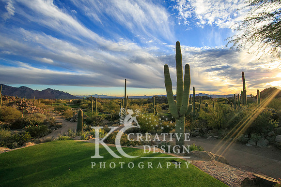 Stone Canyon in Oro Valley