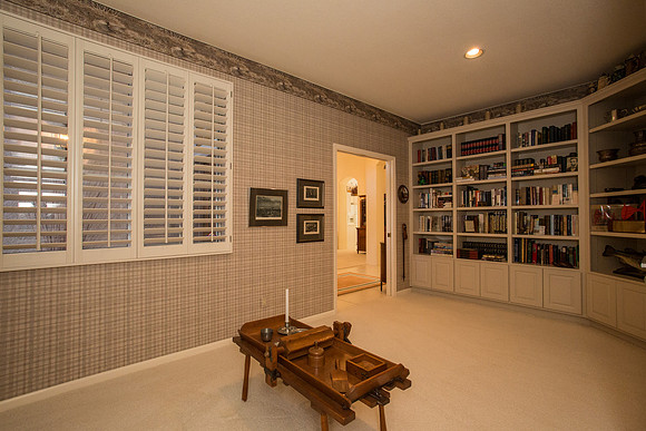 Downstairs Den