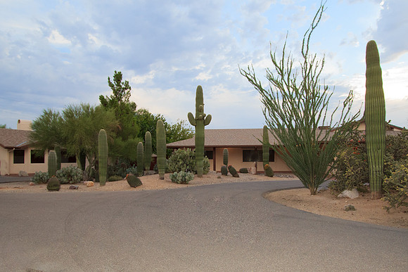 Martha Briggs' listing 901 W Las Lomitas