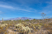 5910 N Jimson Ln, Tucson, AZ 85743 11/2023