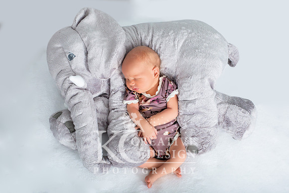 Tucson Newborn Photography by KC Creative Design