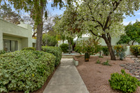 7828 W LaCanada Drive, Tucson AZ 85737