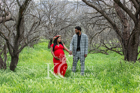 Maternity Photography