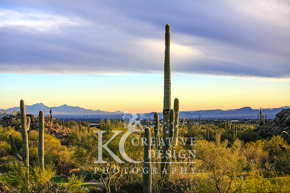 Stone Canyon in Oro Valley
