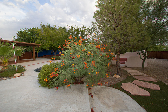 Martha Briggs' listing 901 W Las Lomitas