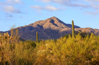5341 N Blue Bonnet Tucson AZ 85745
