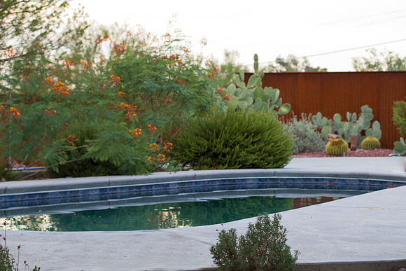 Martha Briggs' listing 901 W Las Lomitas