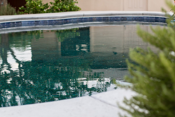 Martha Briggs' listing 901 W Las Lomitas