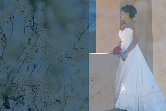 Tucson Wedding Photographers