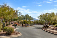 3 E Big Wash Pl, Oro Valley, AZ 85755, USA